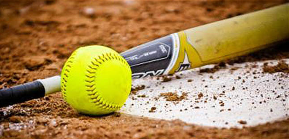 We Offer Softball